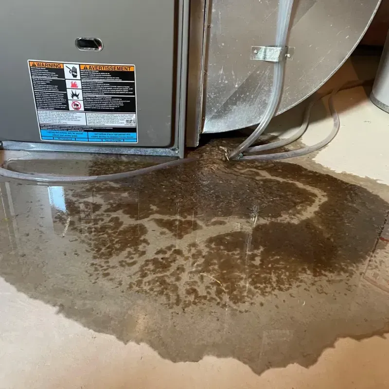 Appliance Leak Cleanup in Edwards County, IL